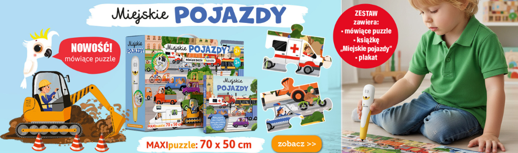 miejskie_pojazdy1010_300