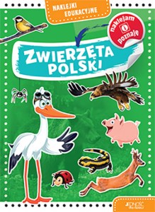 naklejki_edukacyjne_ZWIERZĘTA_POLSKIE_maxi